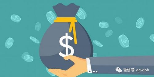 毕马威补招 | 四大会计师事务所审计、税务、咨询与知识产权服务的职业发展路径全解析