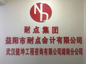 益阳桃江个体户与公司代理记账、税务咨询及知识产权服务指南