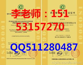 济南ISO认证办理指南与费用解析及知识产权服务概述